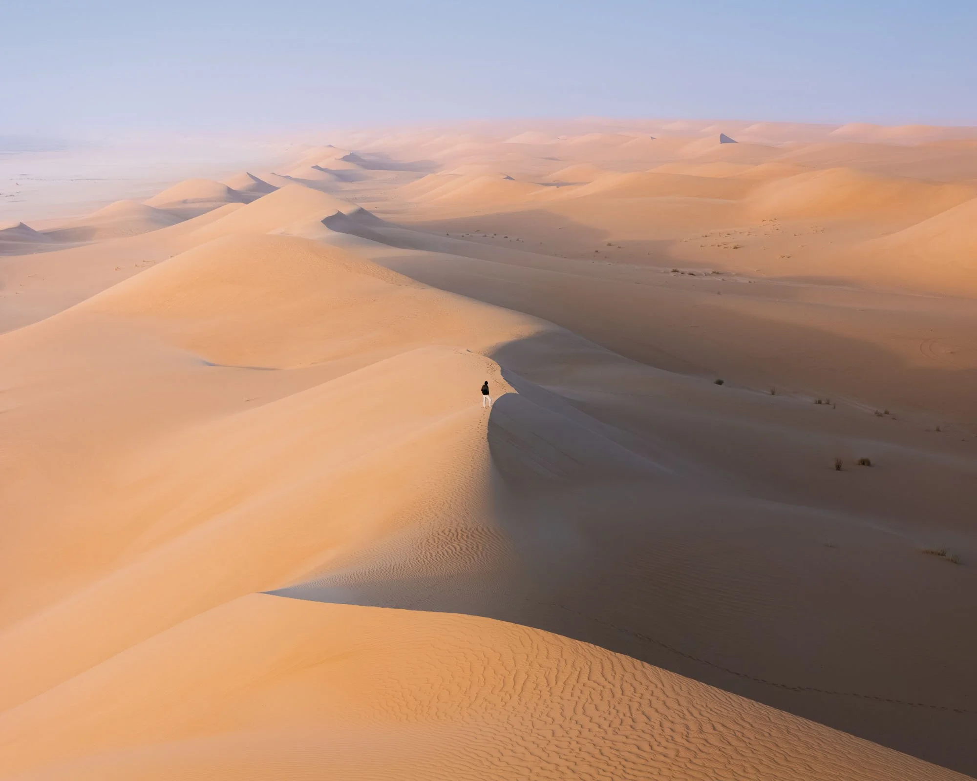 weeping, high-contrast sand dunes in the Erg Maqheir region of the Sahara. The repeating S-curves and sharp shadows create a state of 'Visual Order' that contrasts with the overwhelming scale of the desert sea.