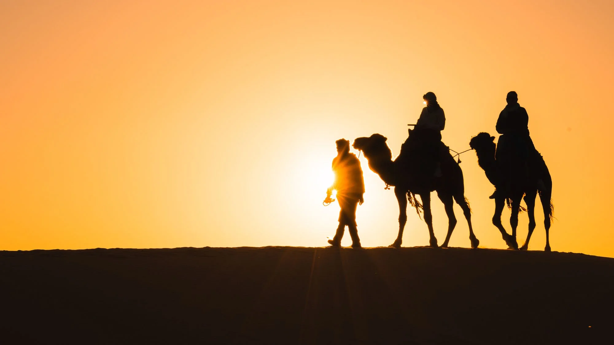 Silhouettes of camels and their driver on a sand dune in Morocco. By using chromatic and spatial subtraction, the image transforms a complex desert trek into a simple, unignorable signal.
