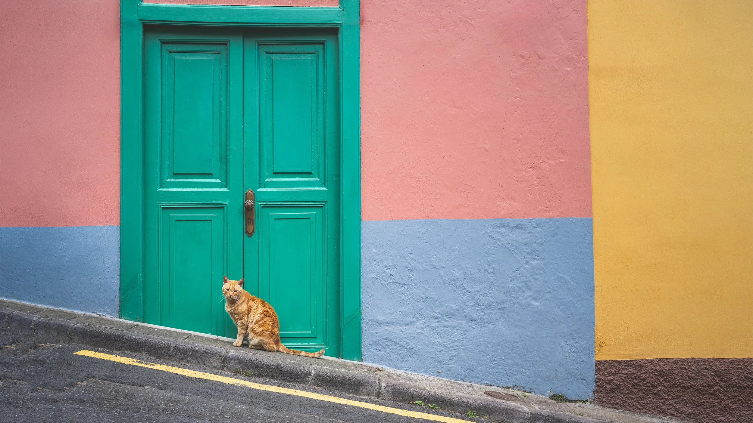 Orange tabby cat sitting on sidewalk in front of a colorful wall with pink, yellow, and blue sections and a large teal door.