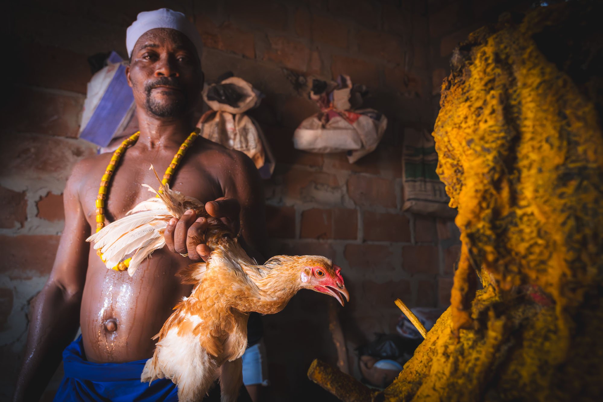 A bare-chested man slick with sweat holds a live chicken during a Voodoo ritual in Benin. This high-tension frame represents the 'Shooter’s Memory'—the raw, exhausting physical reality that can cloud an editor’s judgment.