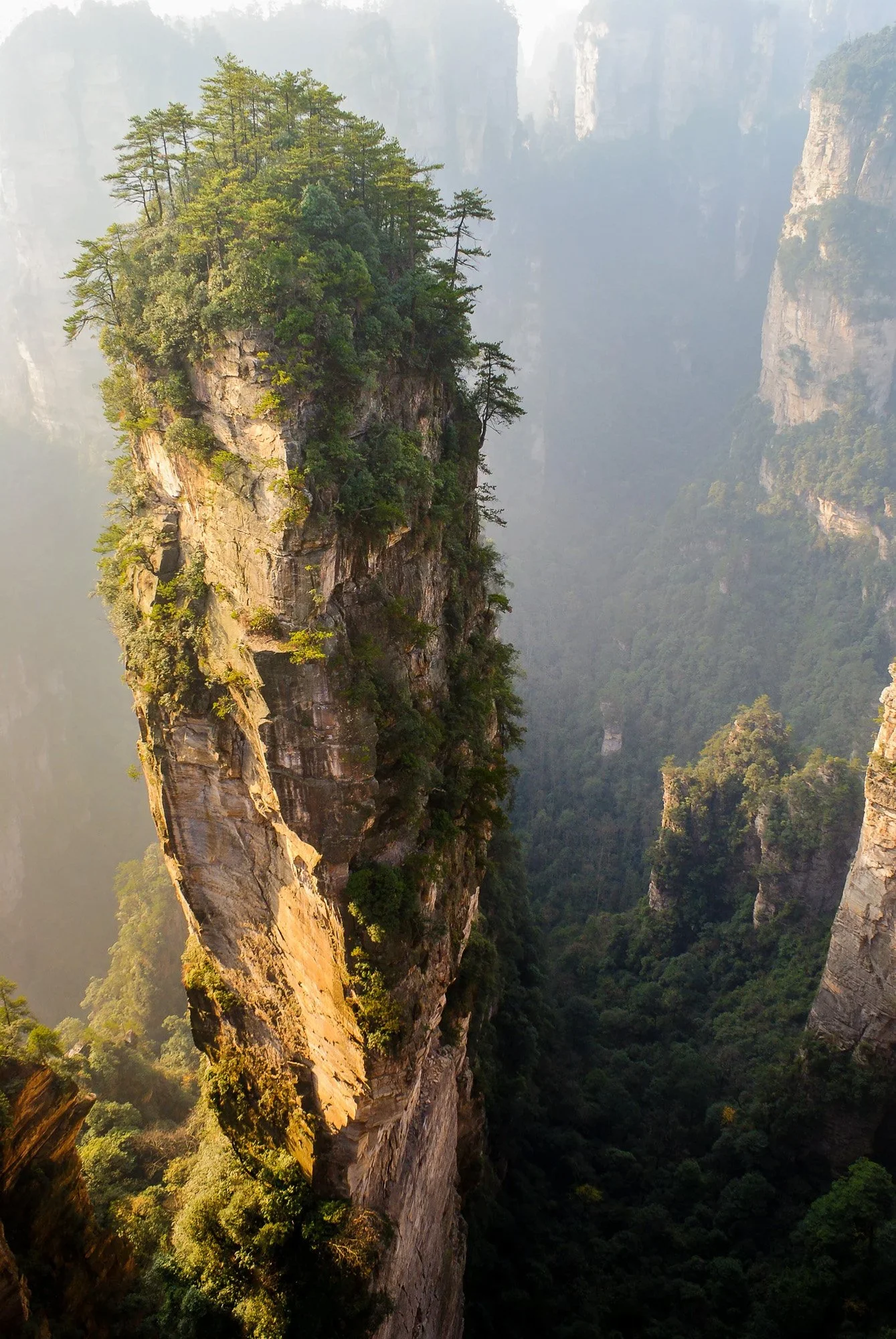 An aerial vertical shot of the towering sandstone pillars in Zhangjiajie, China. The light mist between the peaks utilizes atmospheric perspective to create an immense sense of depth, drawing the viewer into the prehistoric landscape.