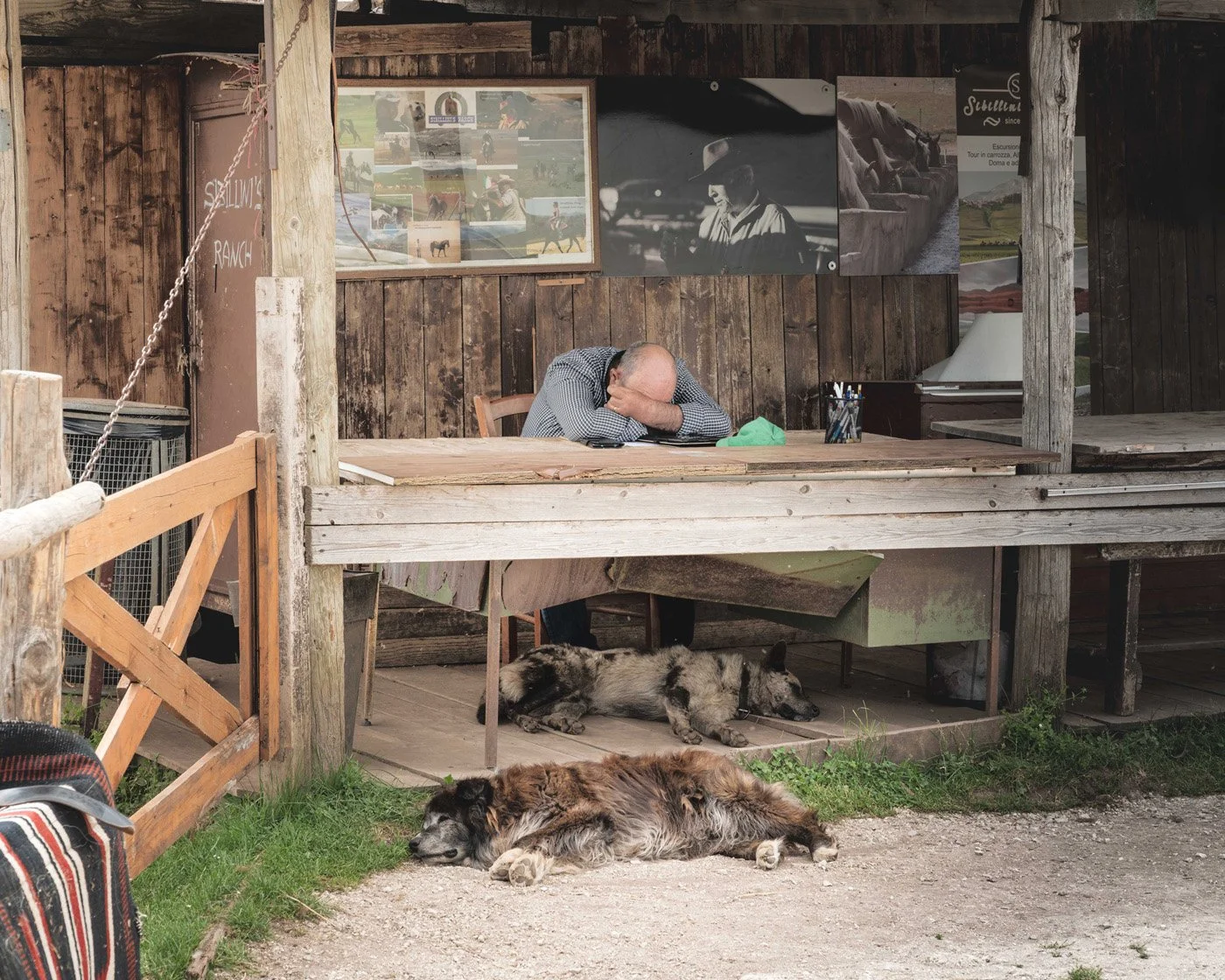 A man sleeps at a wooden desk with two large dogs resting beneath him in Italy. This image serves as a visual breadcrumb, using environmental details to prompt top-down processing and encourage the viewer to construct a narrative of rural exhaustion.