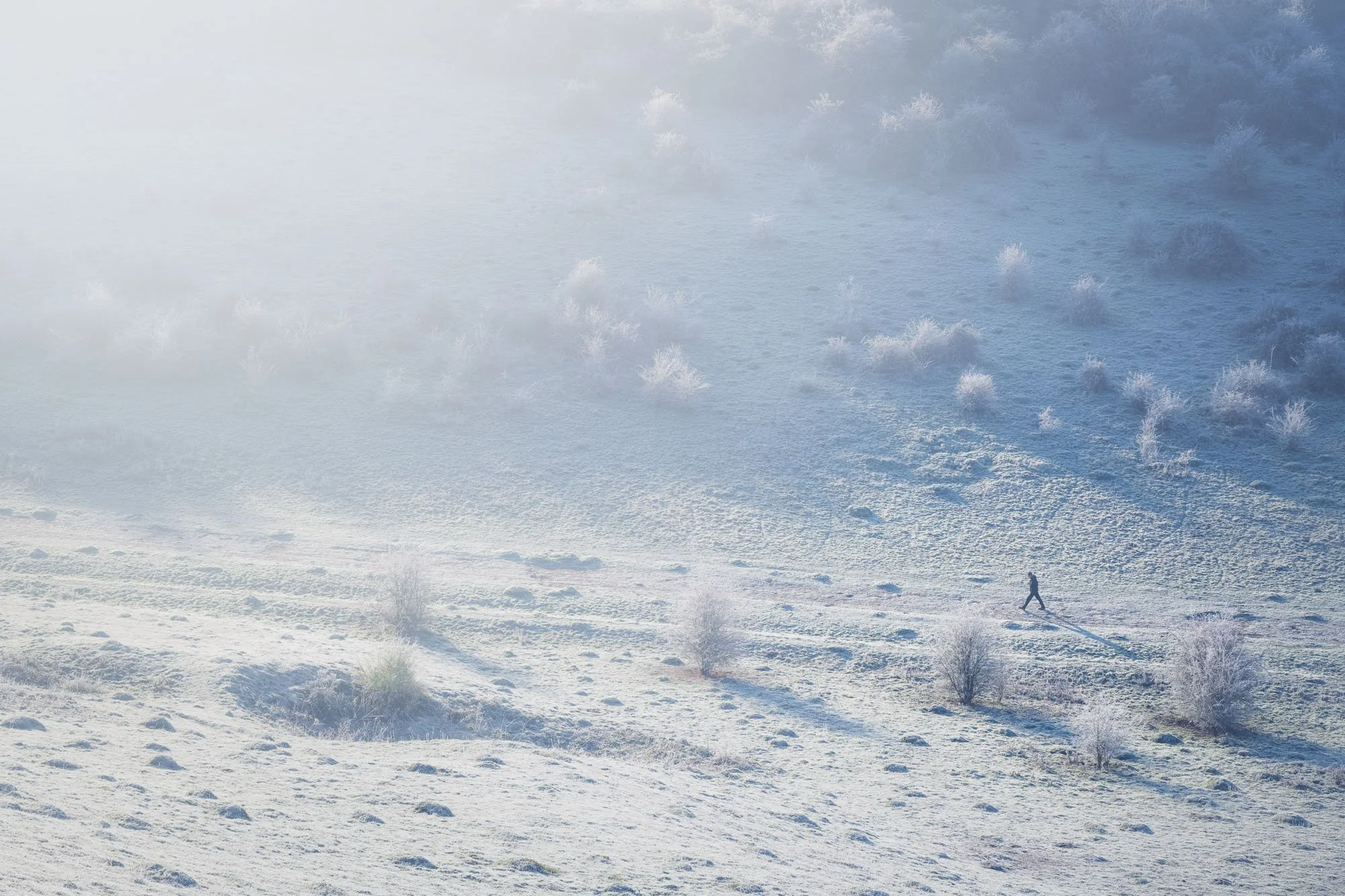 A wide landscape of St. Catherine's Hill in England covered in delicate white rime frost and morning mist, with a lone, tiny human figure walking along a path