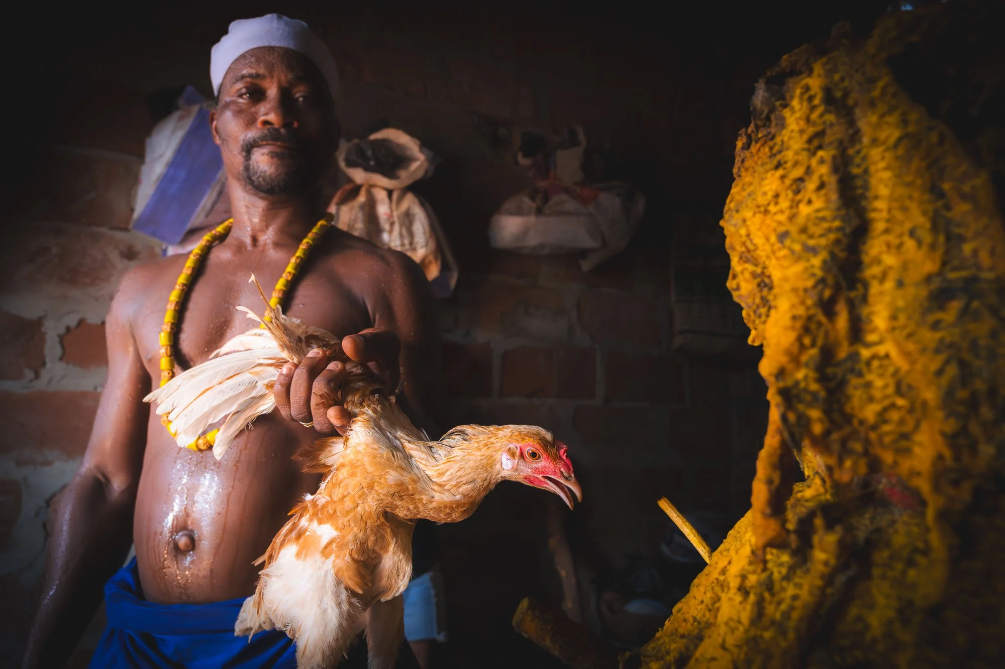 A male Vodun priest holding a live white chicken over a sacred clay altar adorned with statues and offerings inside a shrine in Ouidah, Benin