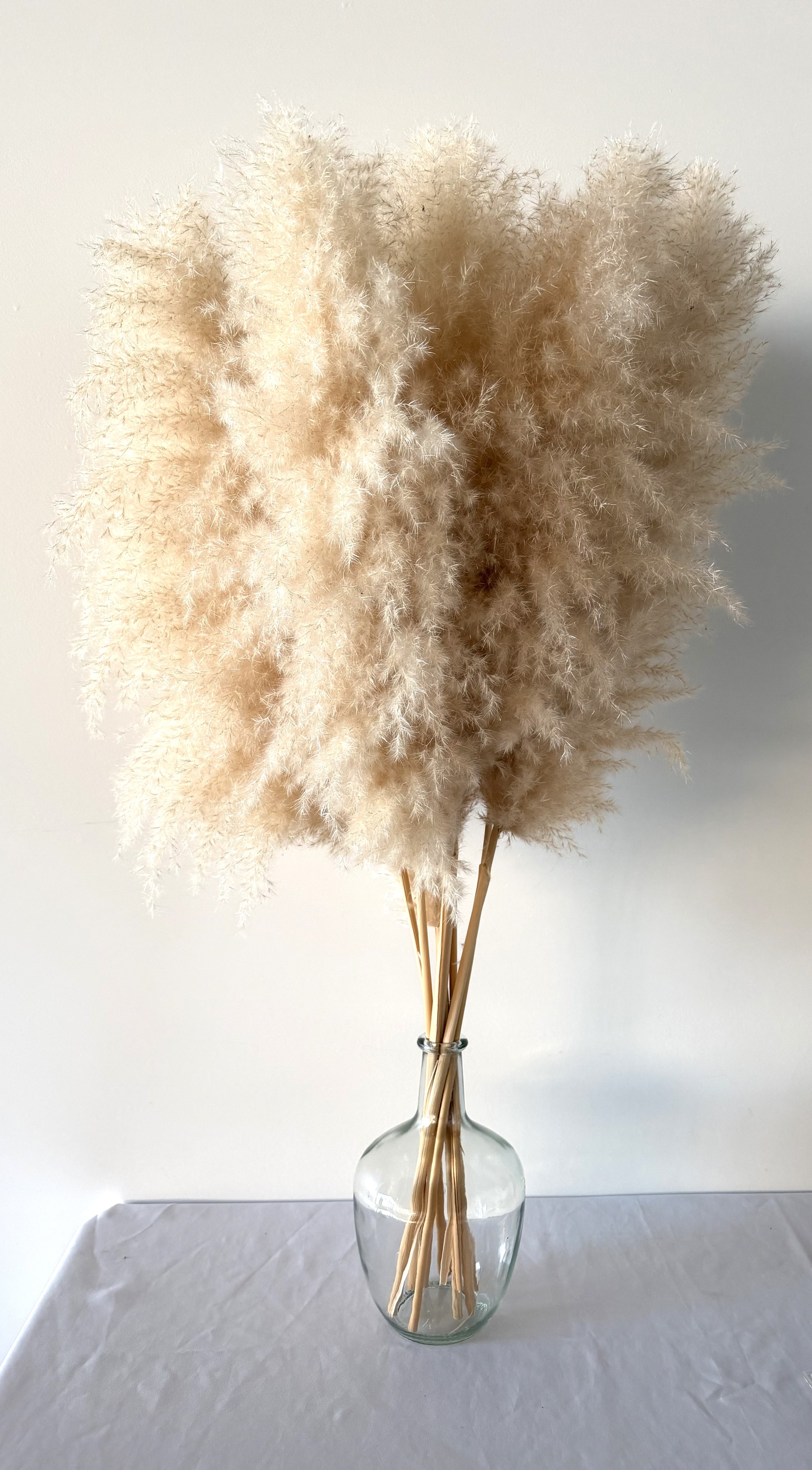 Pampas Grass Plume with Glass Vase - 2 available