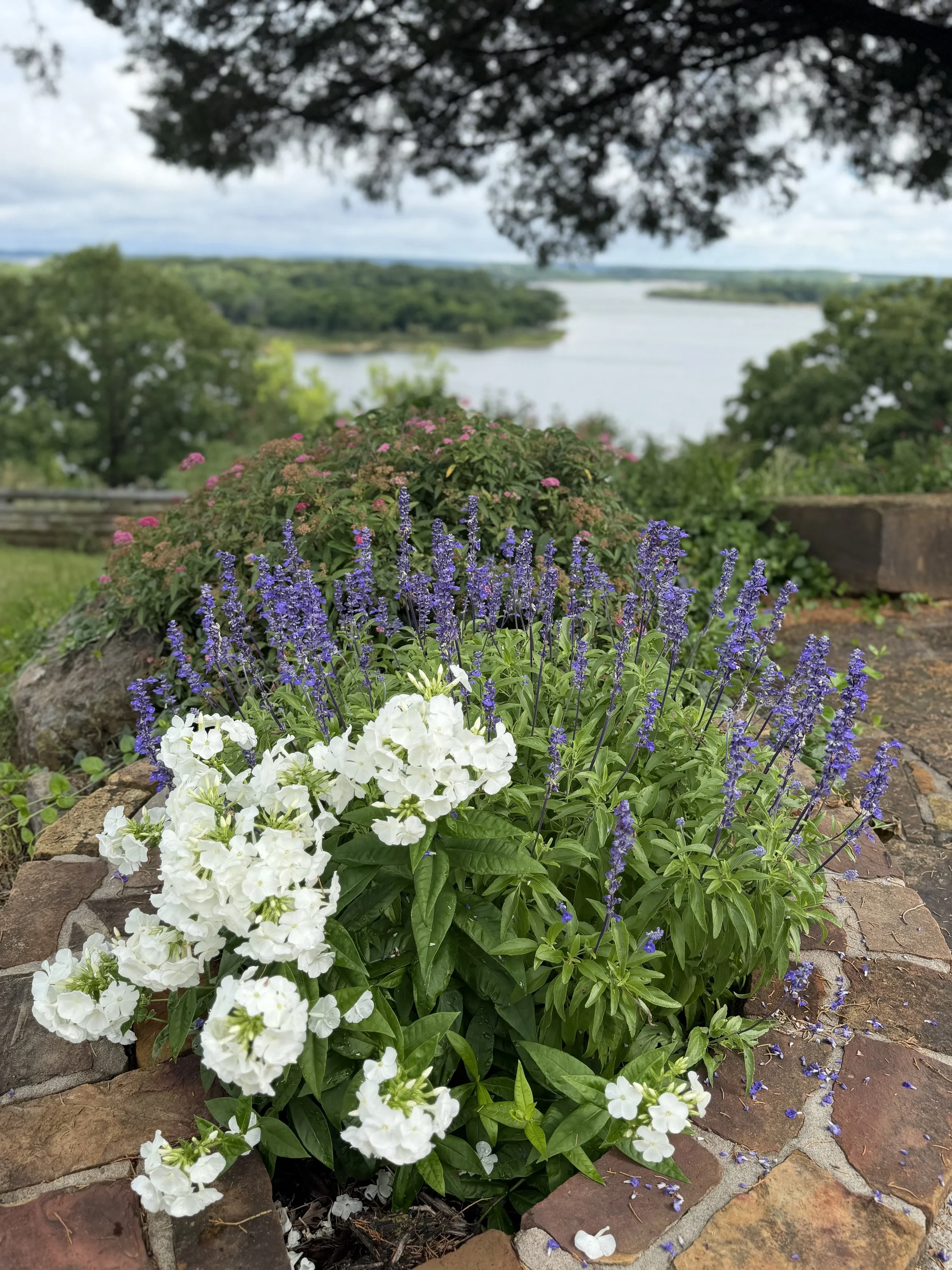 IMG_2927.jpeg