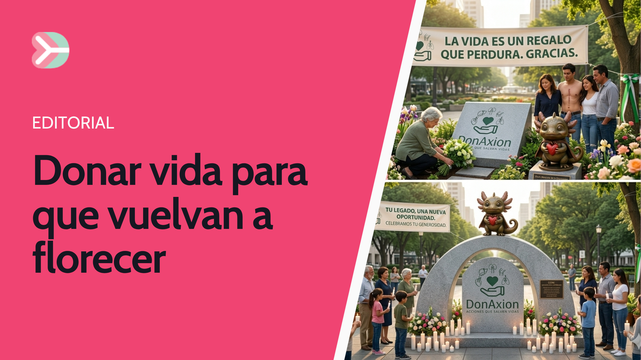 Donar vida para que vuelvan a florecer