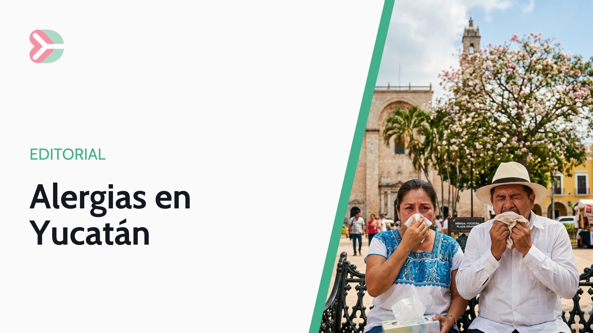 Síndrome de Down                          más allá del diagnóstico (copia)