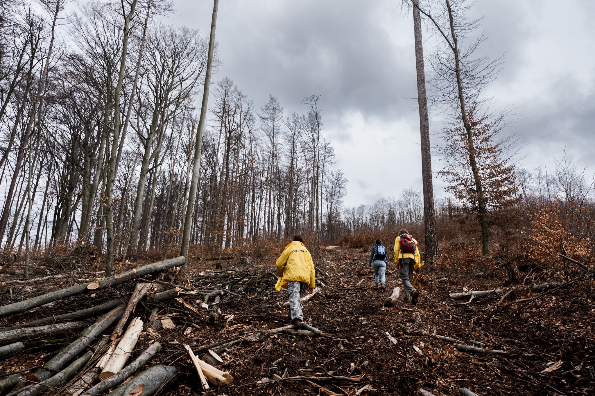 zdanickyles_greenpeace-114.jpg
