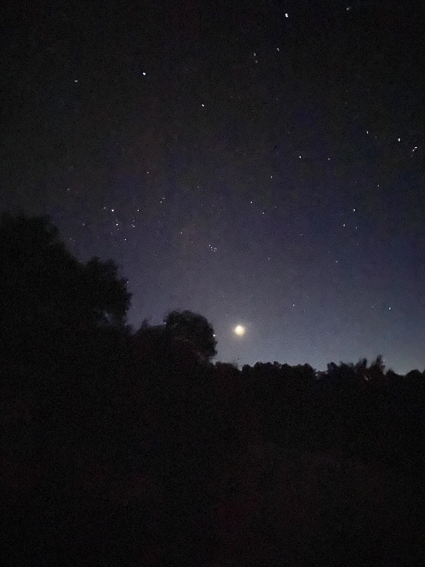 Super starry nights.