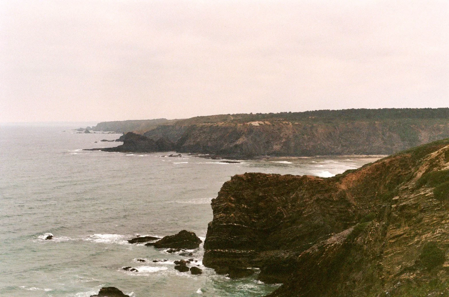 Las maravillas de la creación