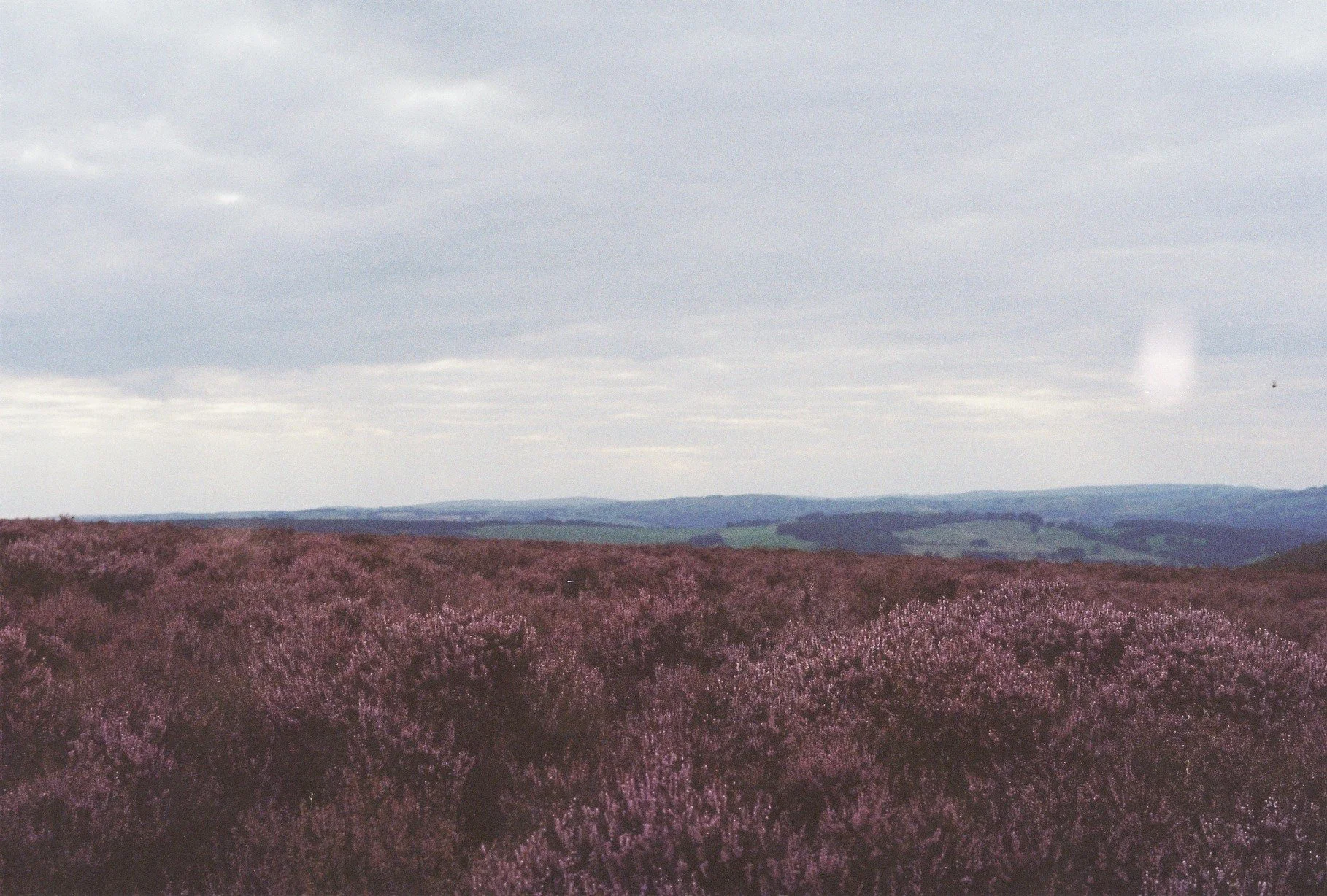 Más allá del punto final