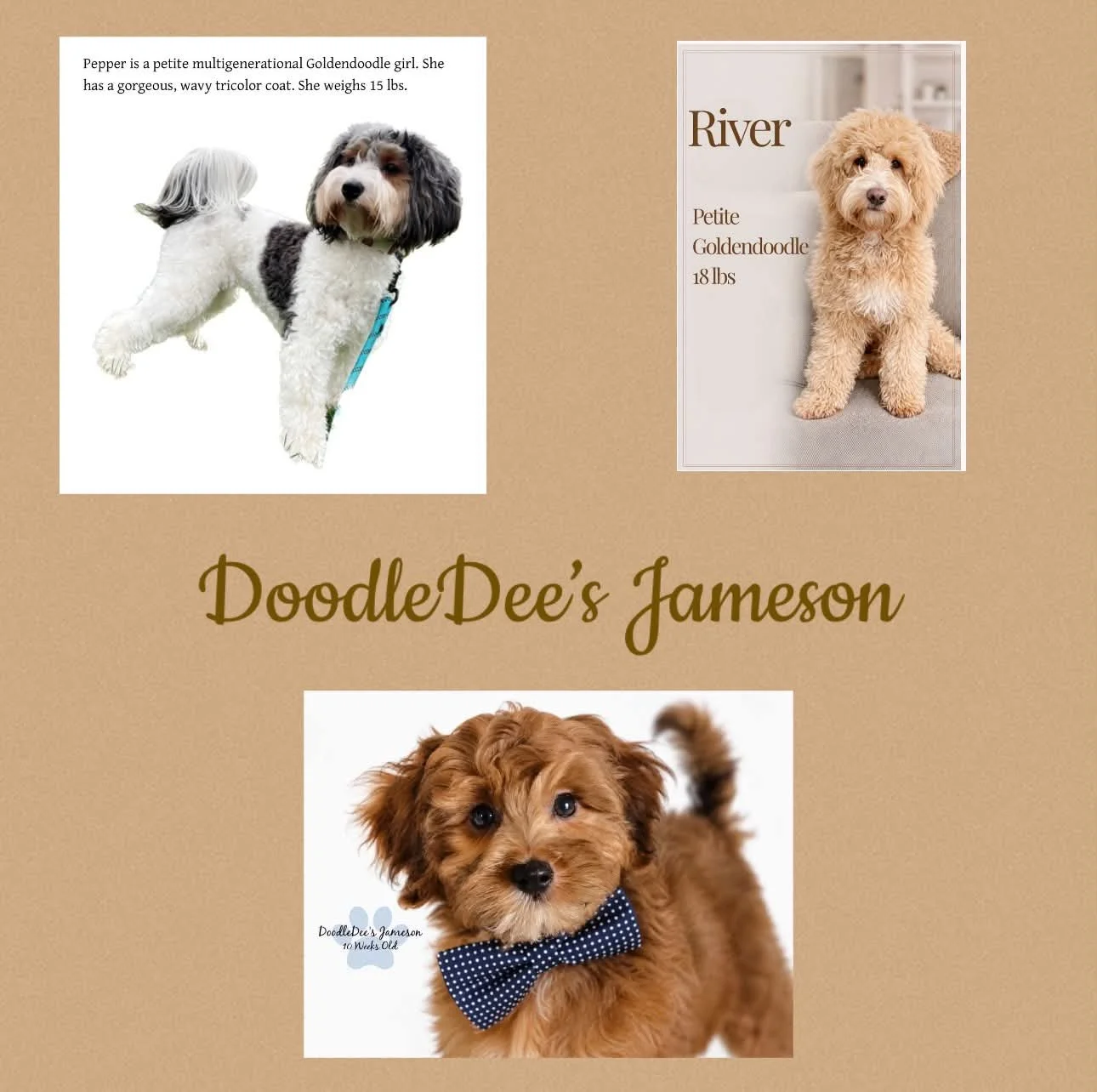 Jameson Parents