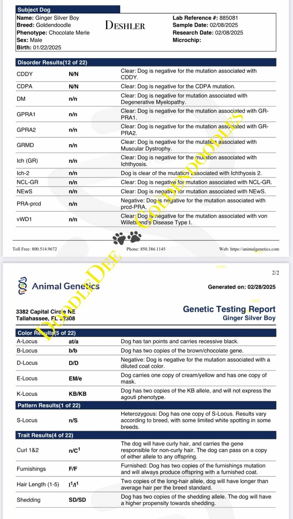 Genetic Health Testing- AG