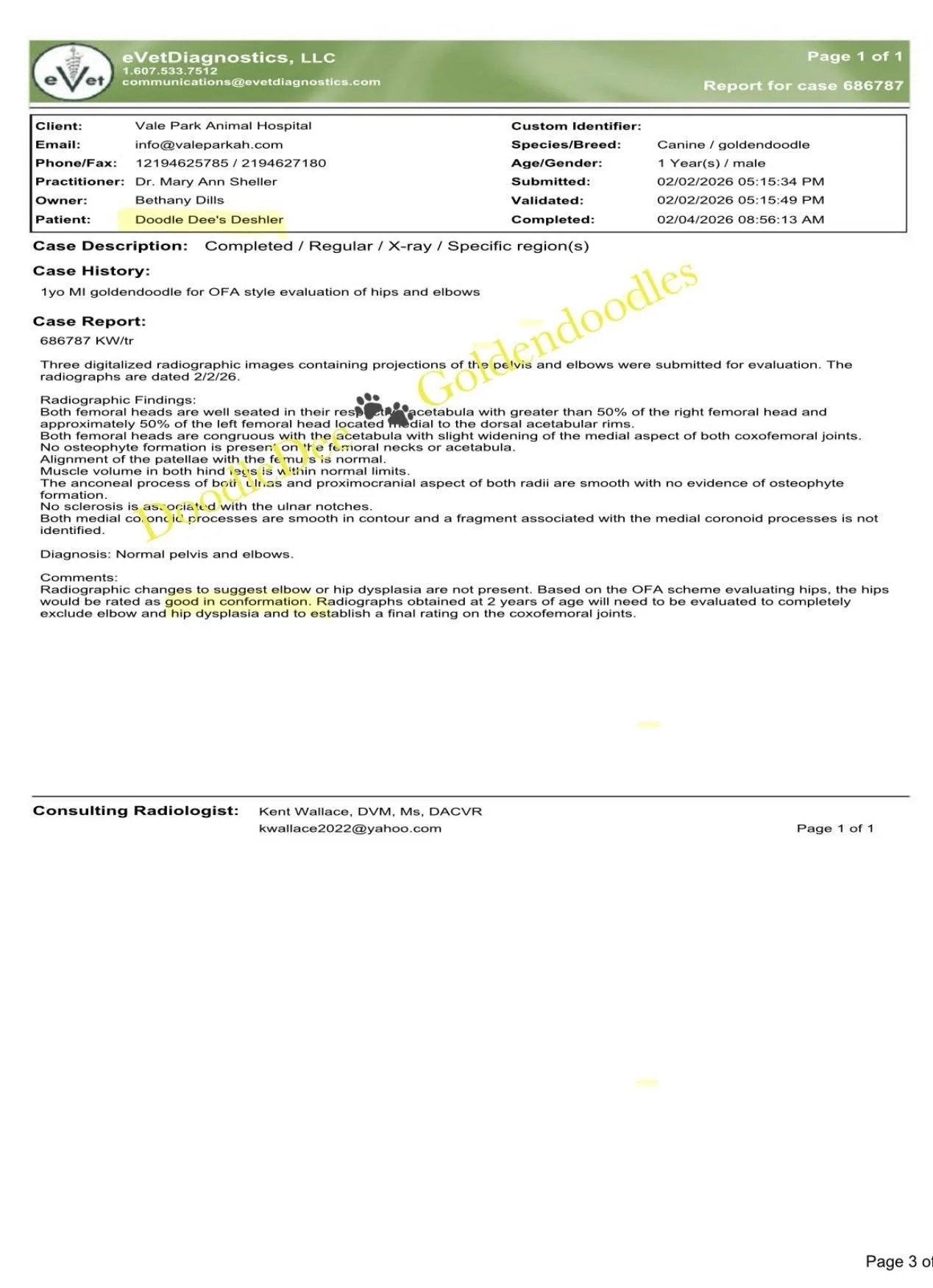 Orthopedic eVet Health Testing- Normal/Good