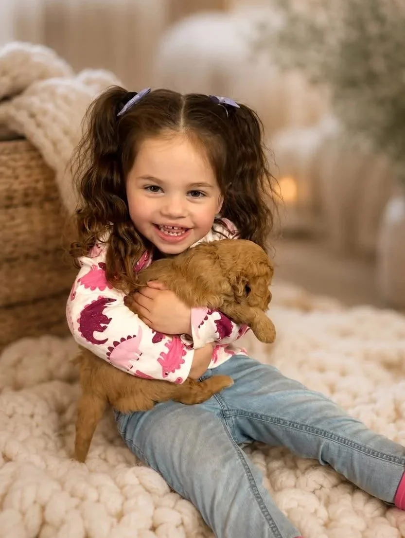 socializing your puppy