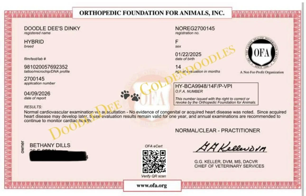 OFA Cardiac Health Testing- Normal