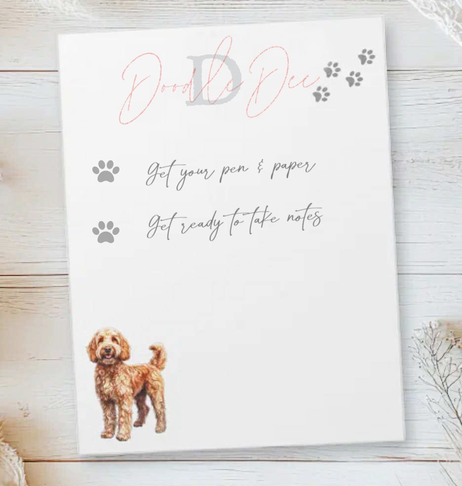 Questions to Ask Before Buying a Puppy: