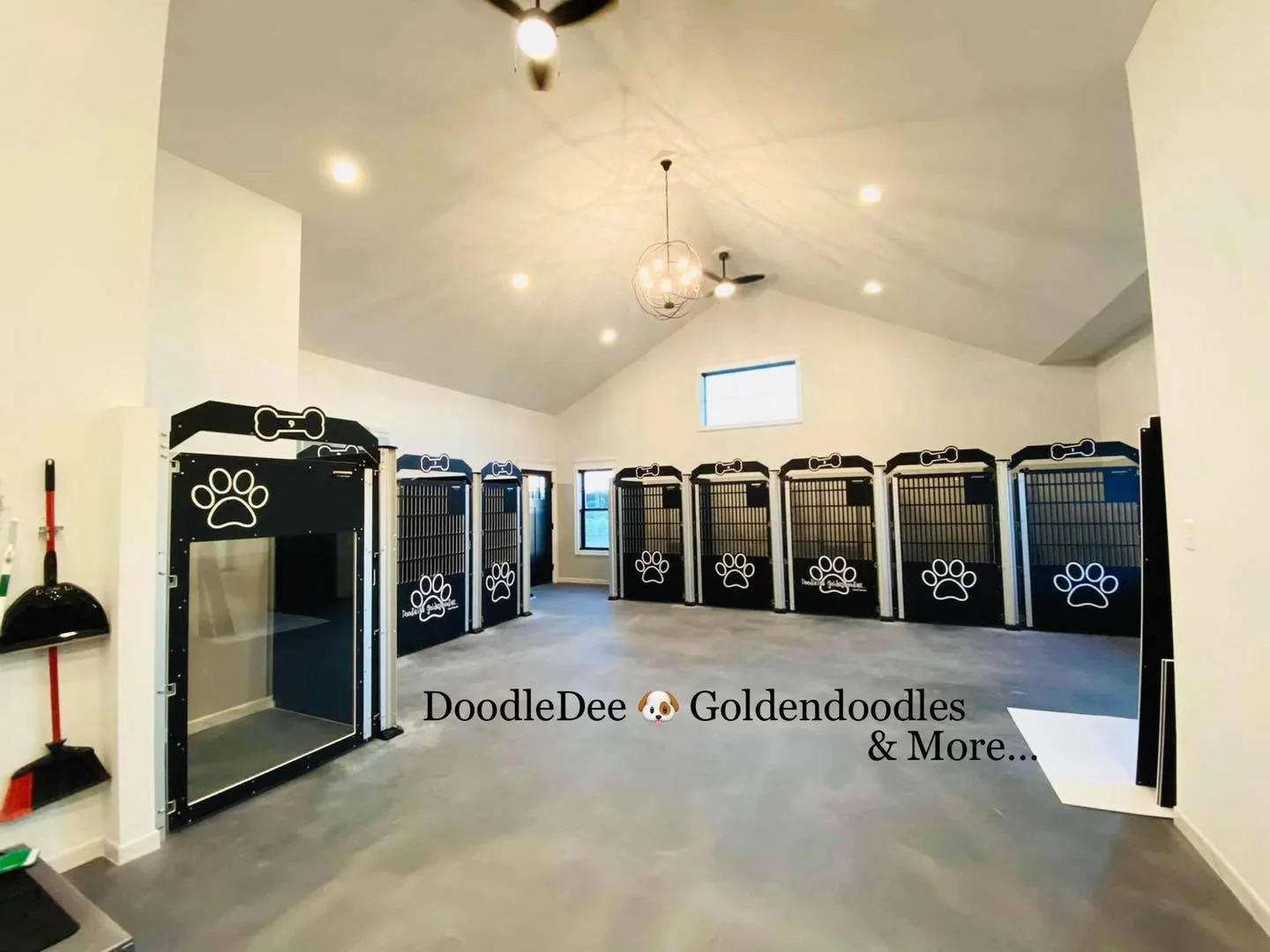 How to Choose a Reputable English Goldendoodle or Bernedoodle Breeder: 12 Questions to Ask