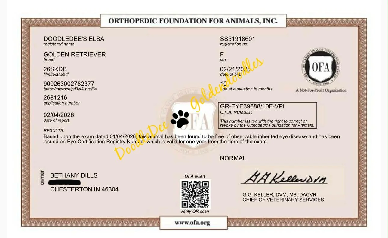 OFA Eye Health Testing- Normal