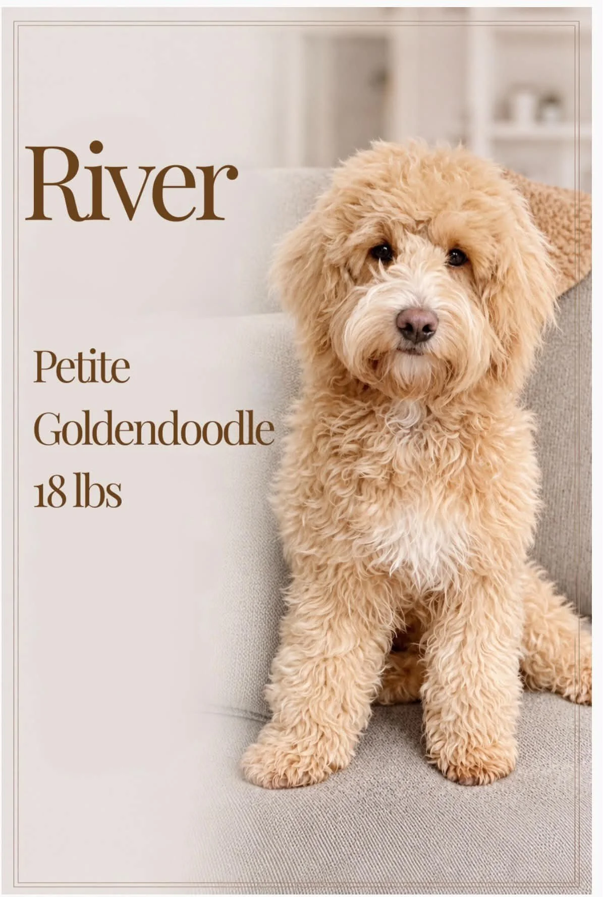 Jameson Sire- River 18 lbs