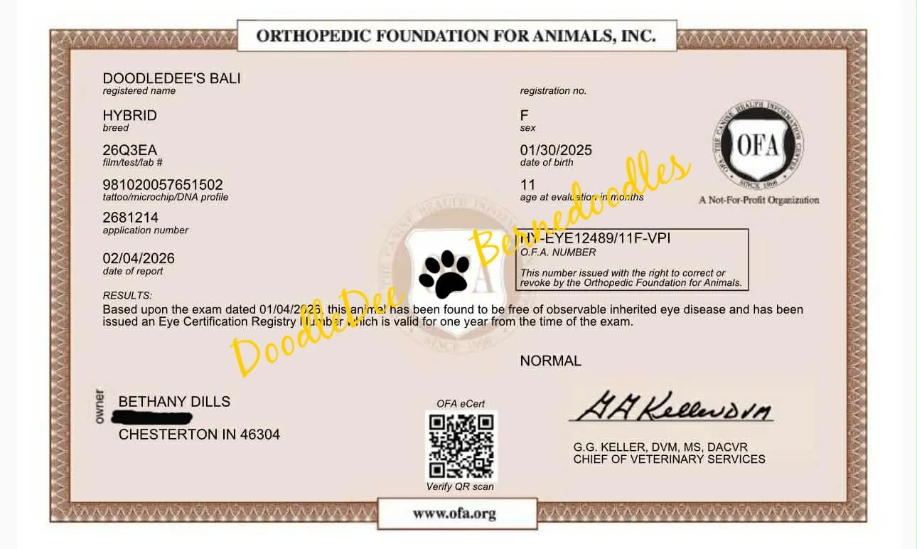 OFA Eye Health Testing- Normal