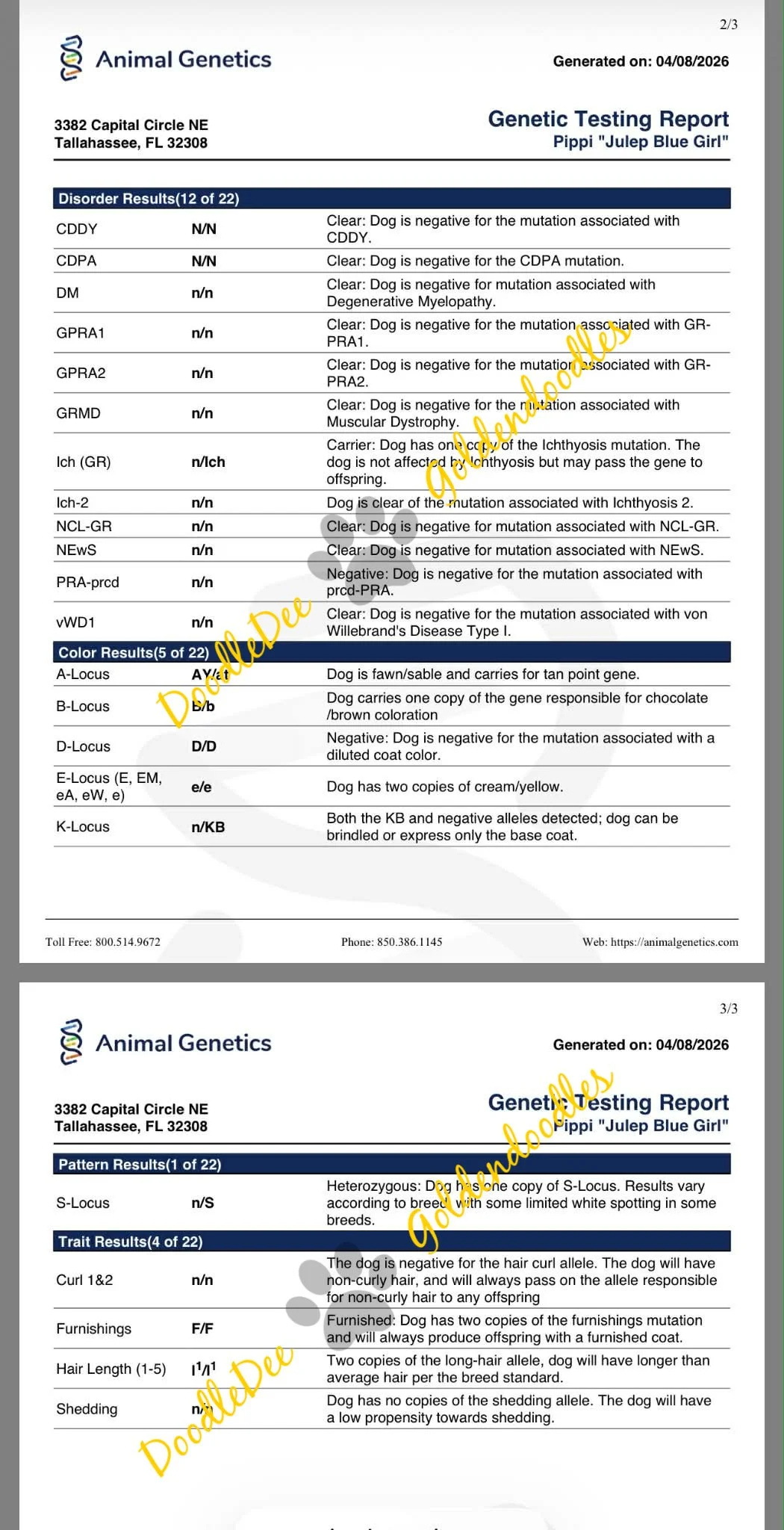 Genetic Health Testing- AG