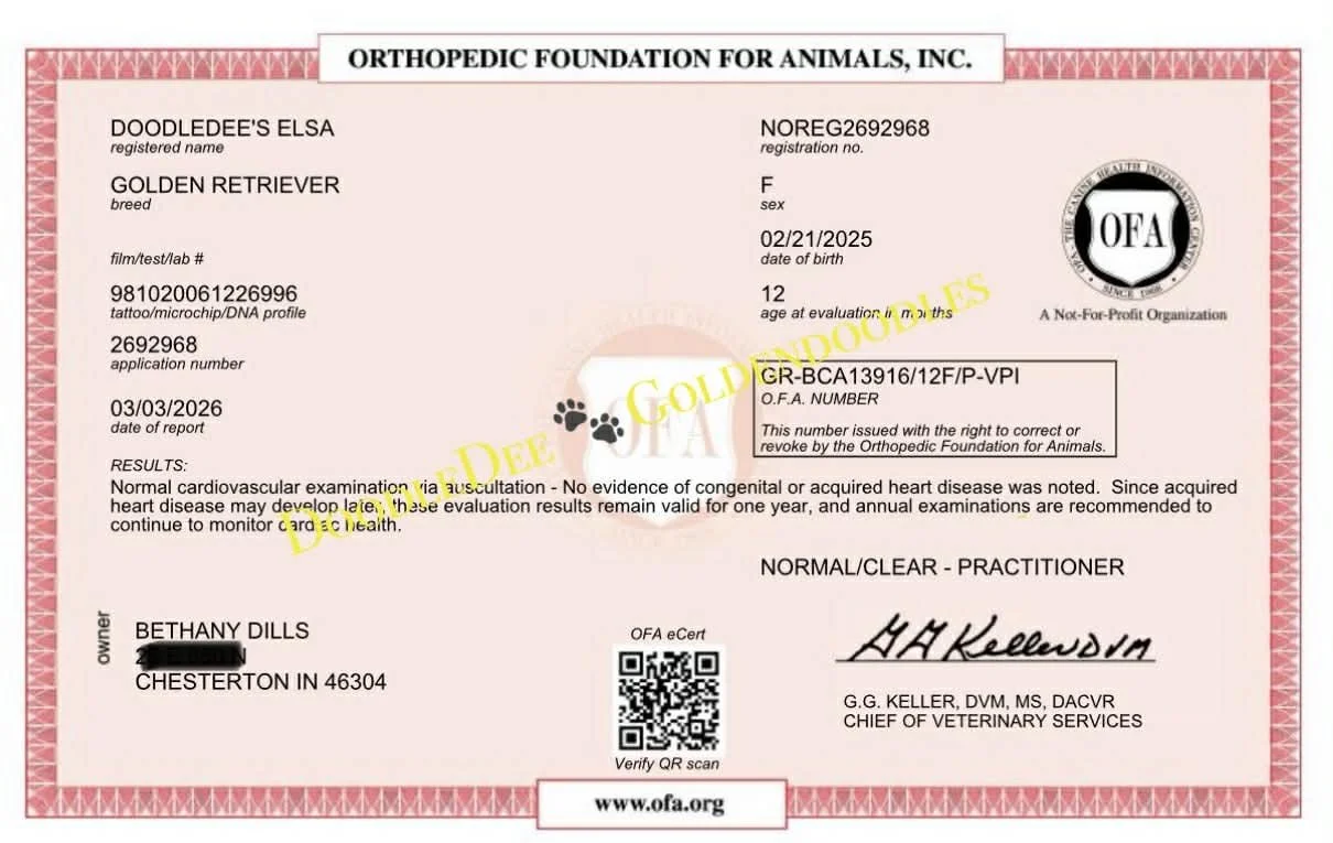 OFA Cardiac Health Testing- Normal