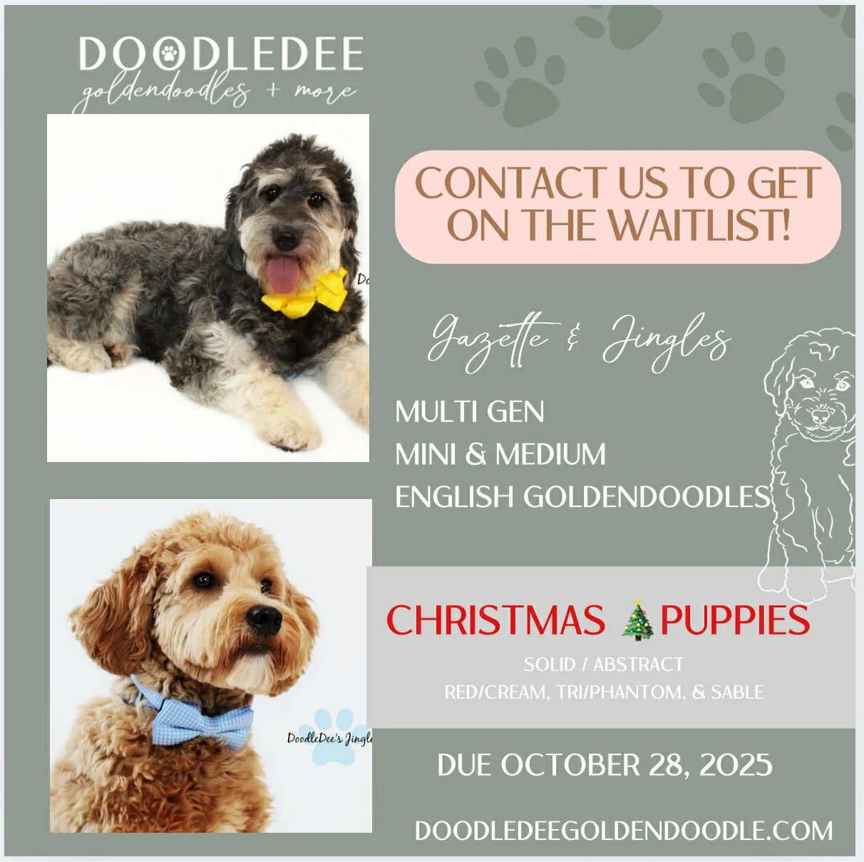 Gazette Birth Announcement.jpeg