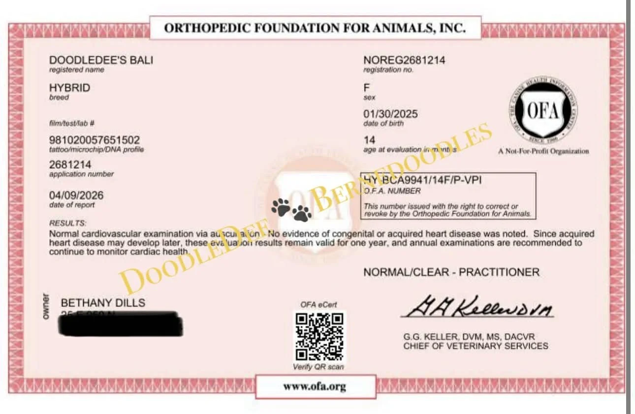 OFA Cardiac Health Testing- Normal