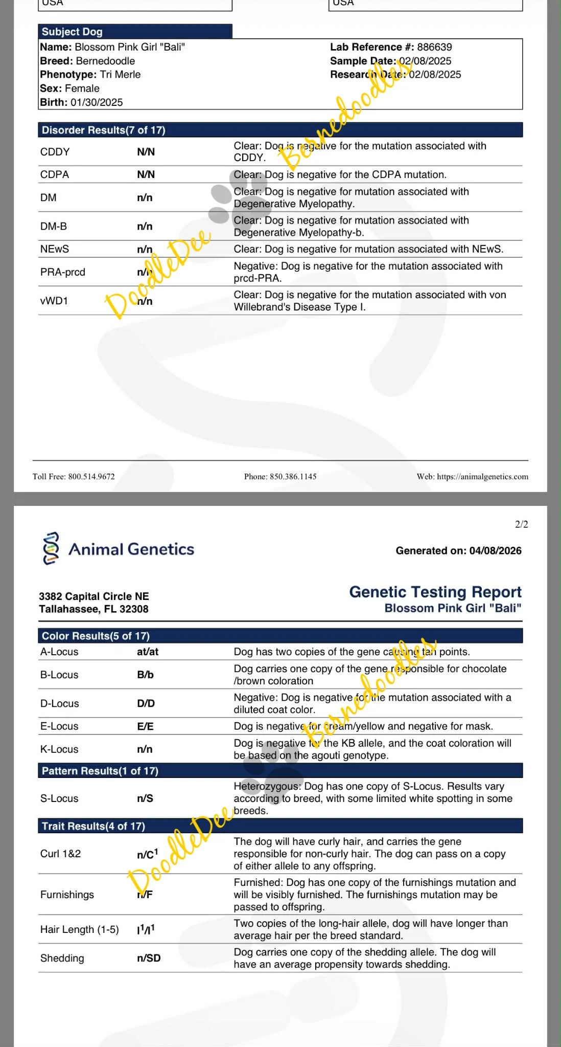 Genetic Health Testing- AG