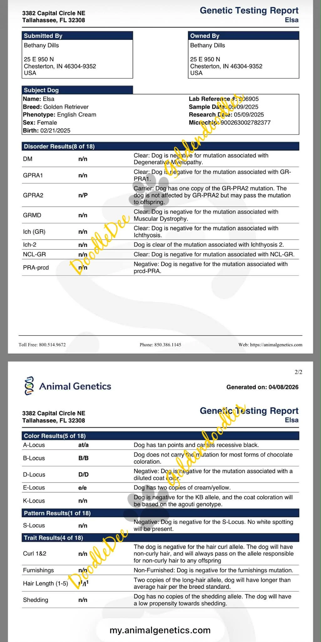 Genetic Health Testing- AG