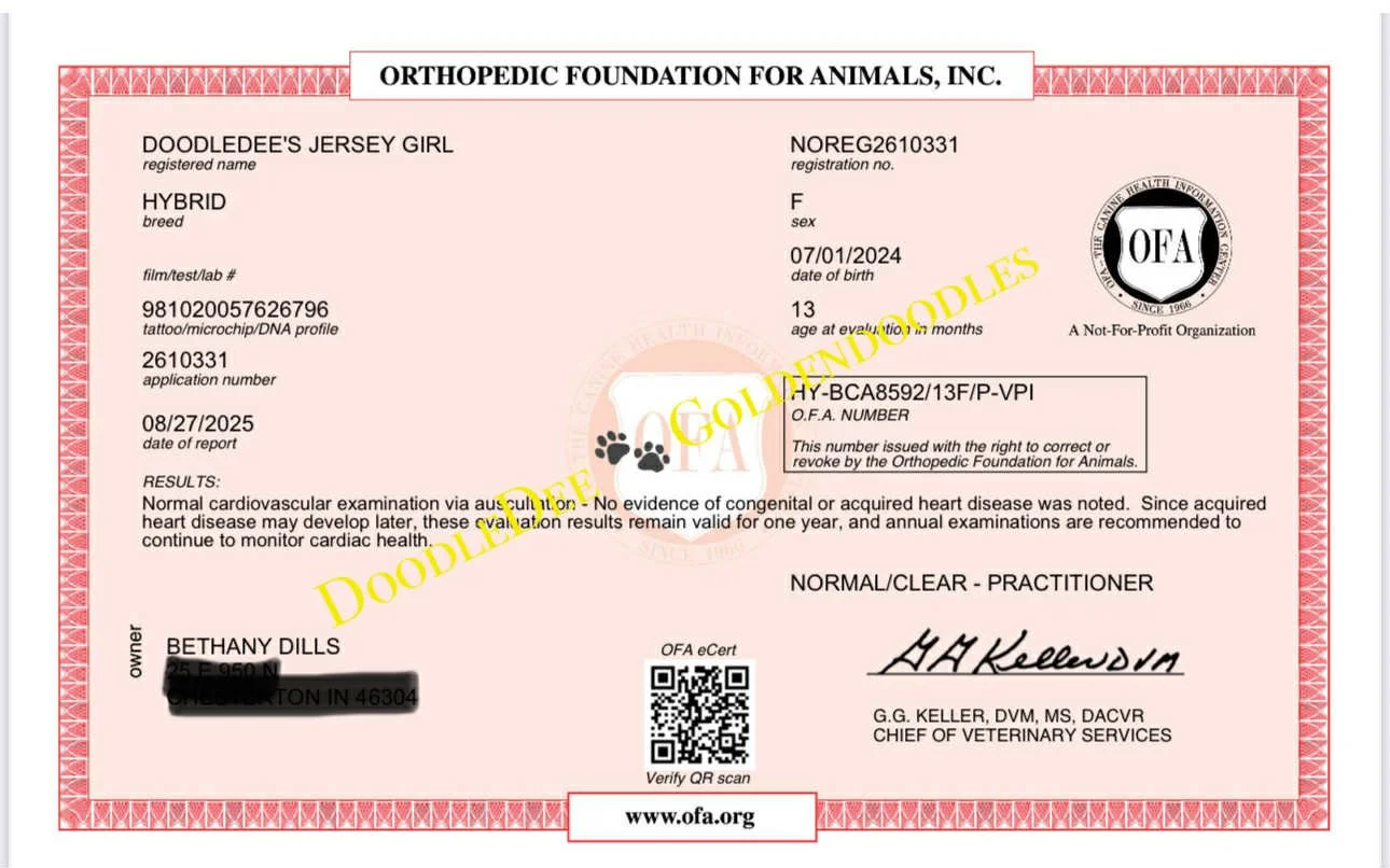 OFA Cardiac Health Testing