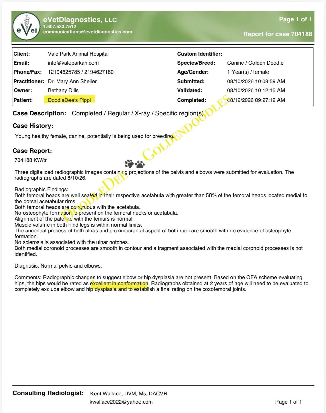 Orthopedic Health Testing - Excellent