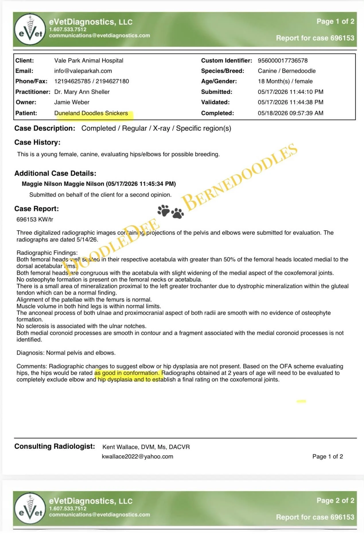 Snickers Orthopedic Health Testing- eVet