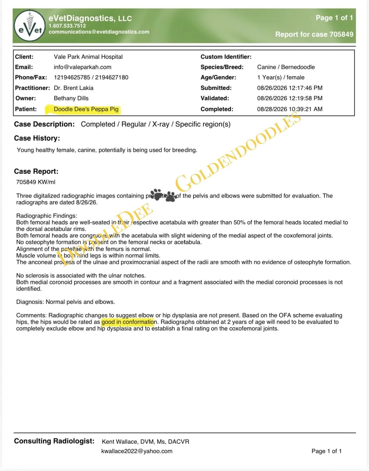 eVet Orthopedic Health Testing- Normal / Good