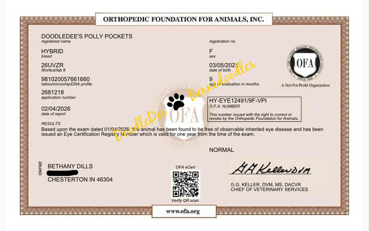 OFA Eye Health Testing- Normal