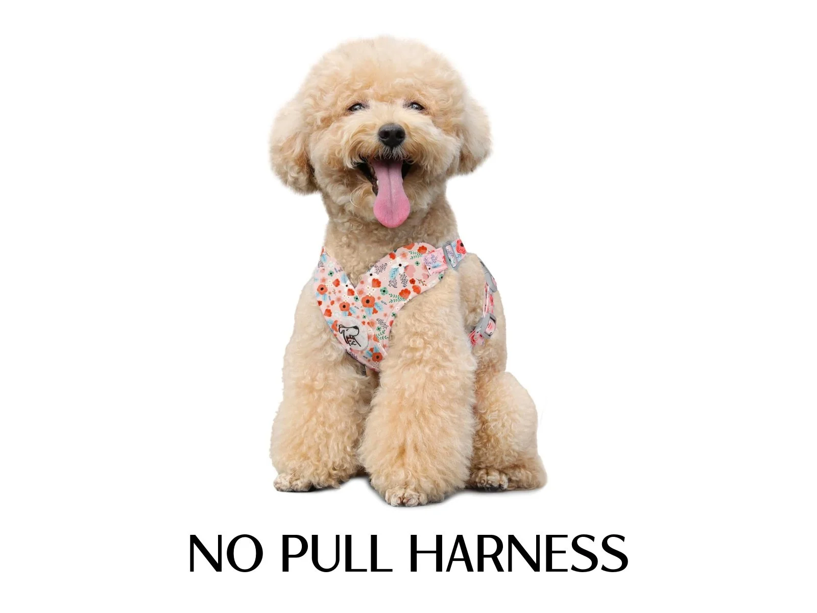 NO PULL HARNESS
