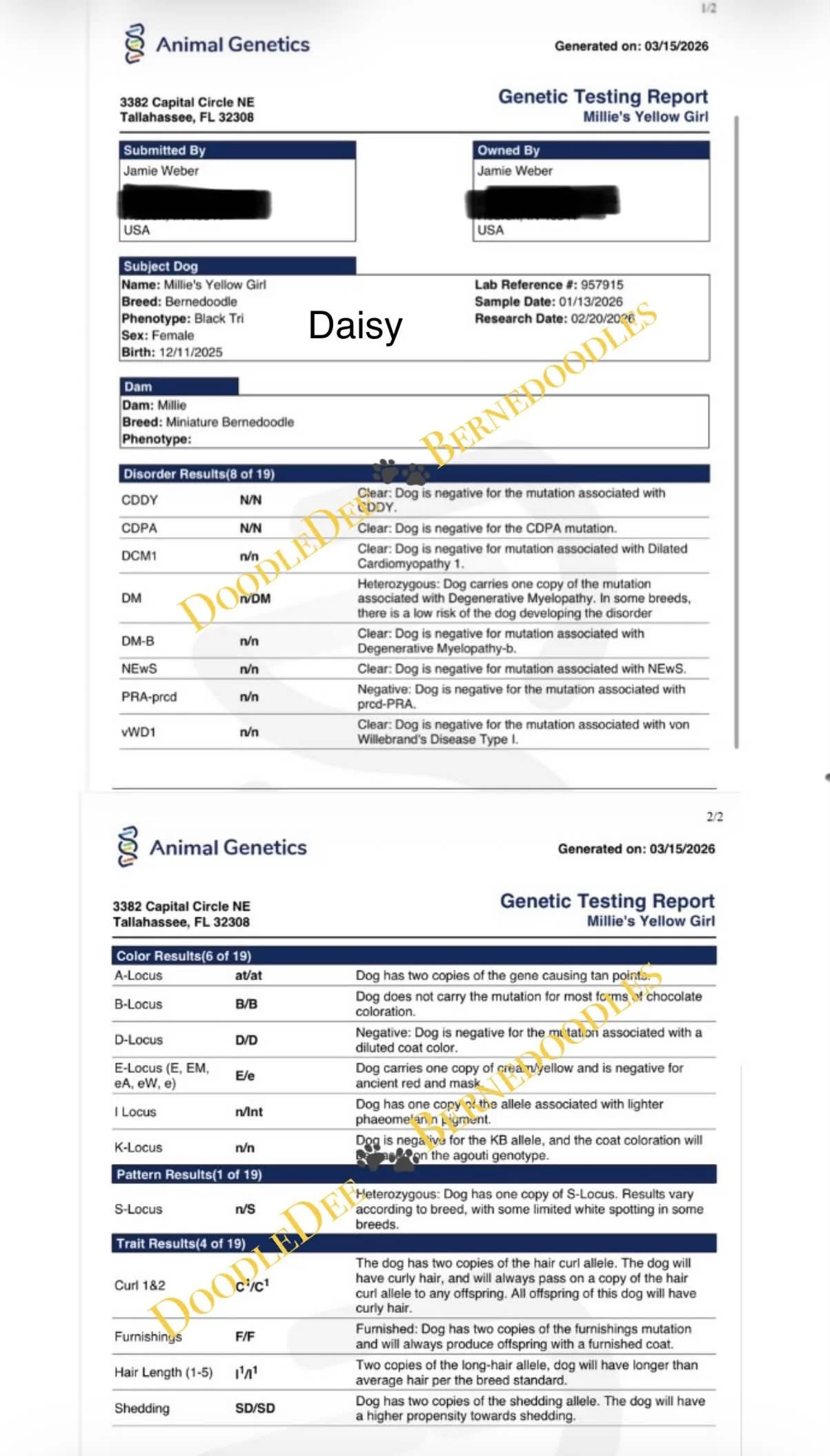 Daisy Genetic Health Testing AG