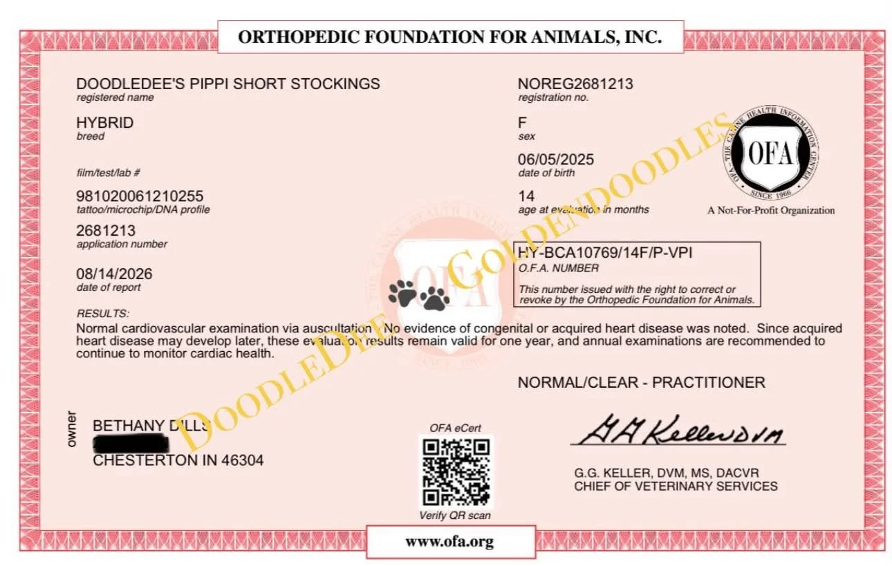 Cardiac Health Testing - Normal