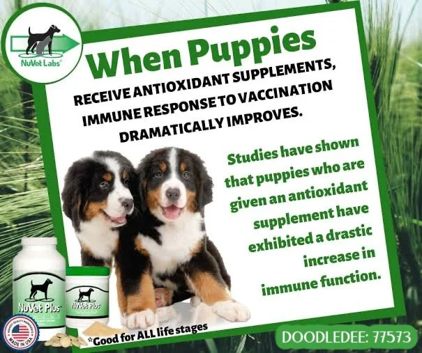 NuVet Supplements
