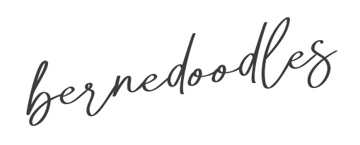 Ethical Goldendoodle Breeder In Indiana | DoodleDee