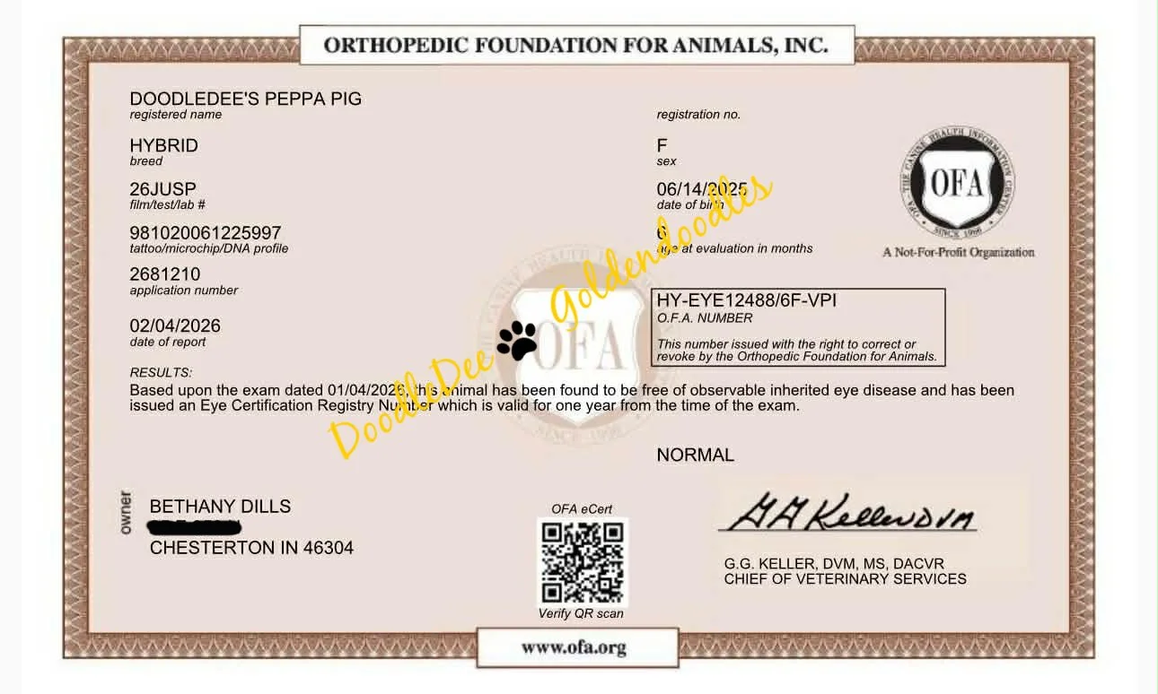 OFA Eye Health Testing- Normal