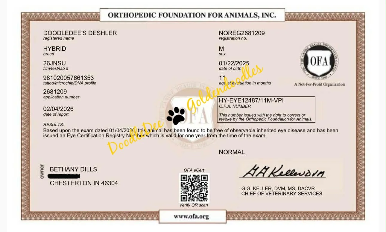 OFA Eye Health Testing- Normal