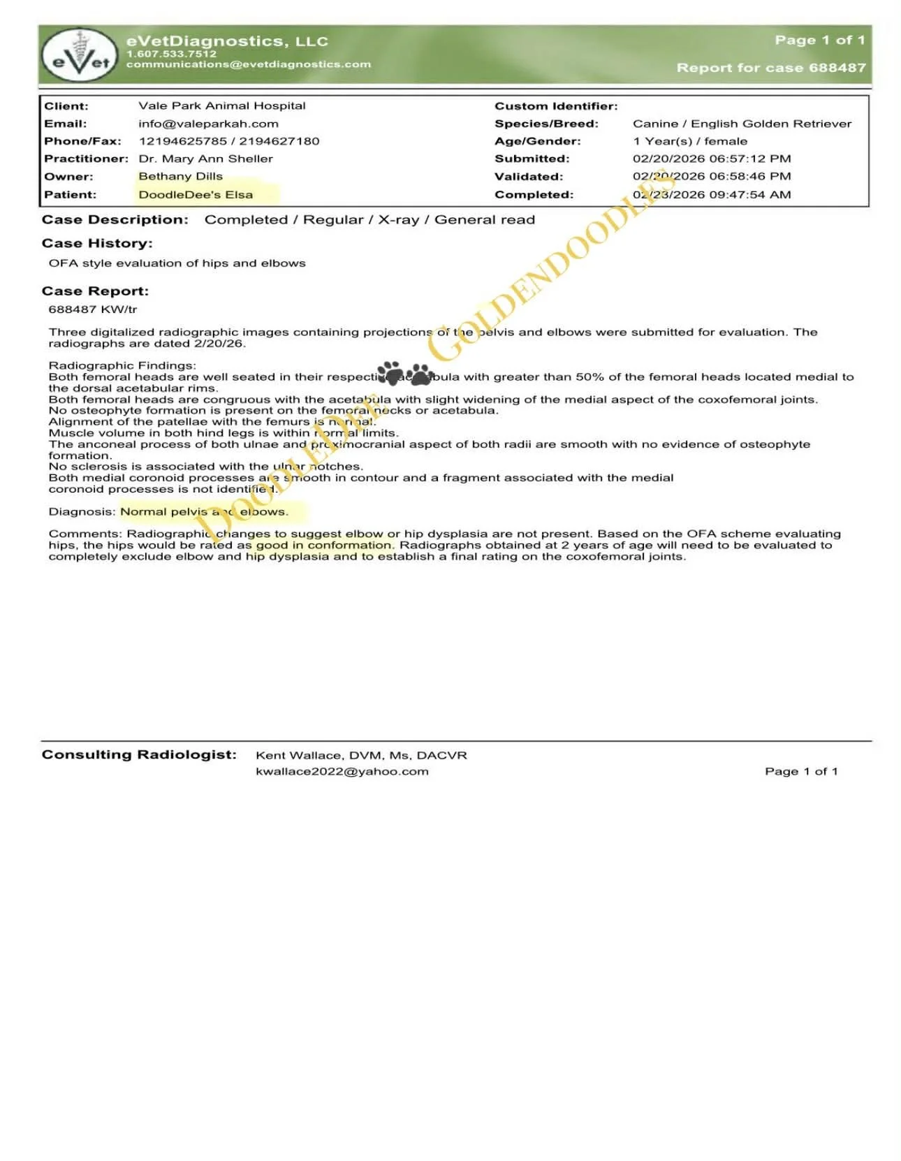 Orthopedic- eVet Health Testing