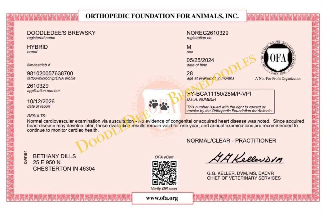 OFA Cardiac Health Testing