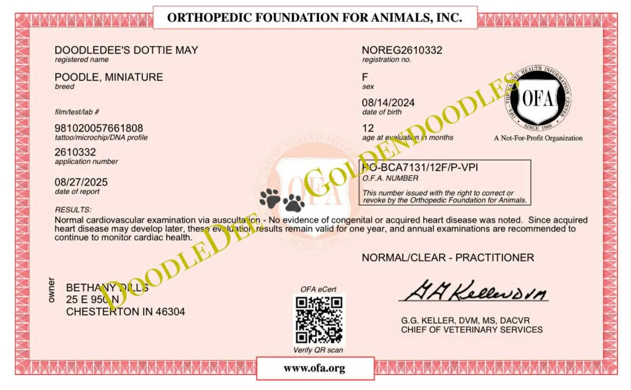 OFA Cardiac Health Testing