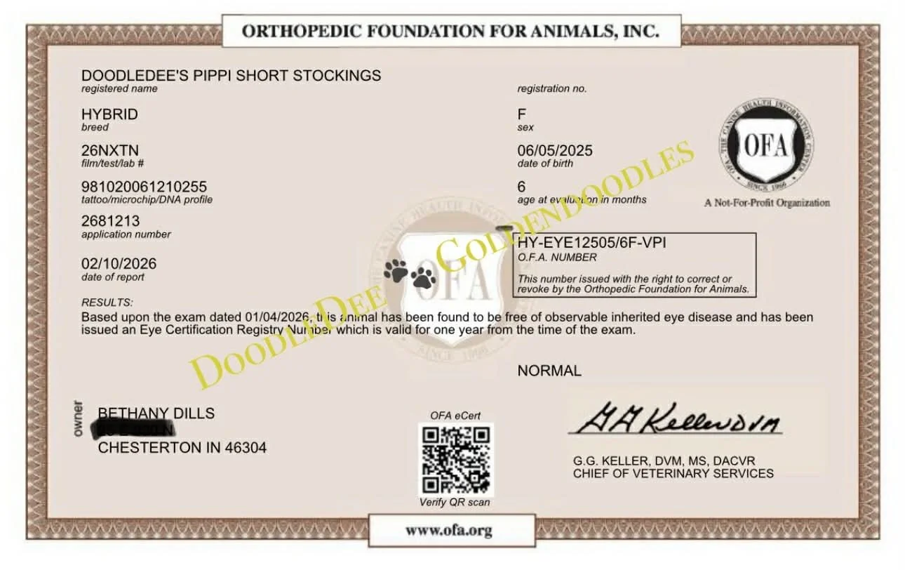 OFA Eye Health Testing- Normal