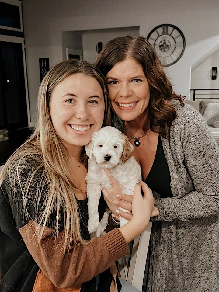 English Goldendoodle breeder near Chicago, Bernedoodle breeder near Chicago