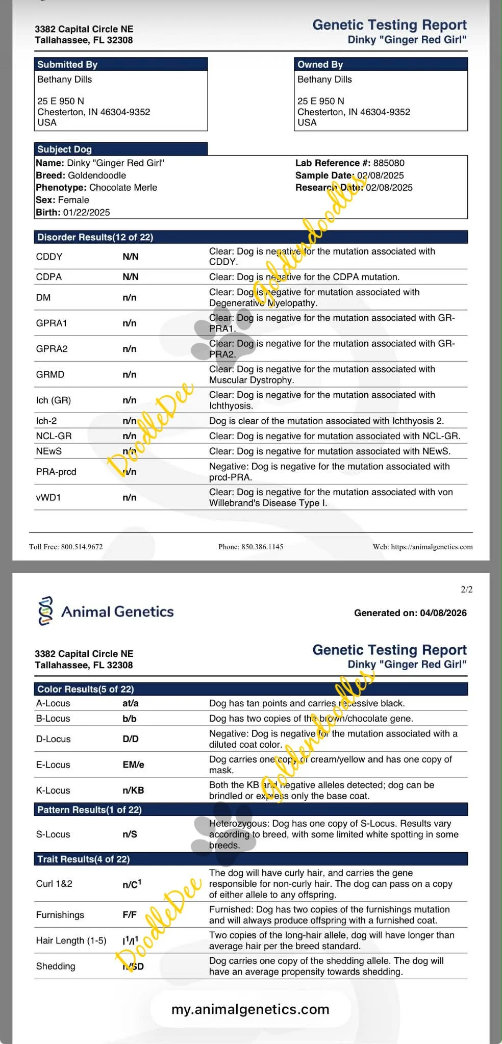Genetic Health Testing- AG